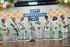 Independence-Day-4