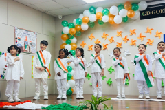 Independence-Day-5